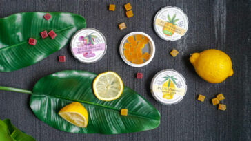 Blissful Strains: Unleashing Creative Juices