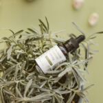 The Great CBD Debate: Tinctures vs. Capsules