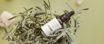 The Great CBD Debate: Tinctures vs. Capsules