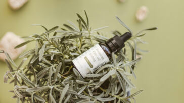 The Great CBD Debate: Tinctures vs. Capsules