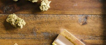 The Green Wave of Unionization: Cannabis Industry’s Labor Movement