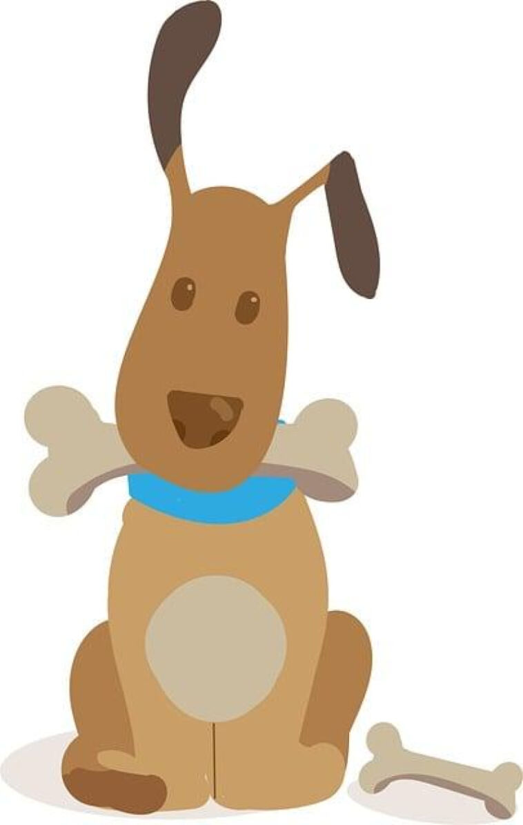 Exploring the Best Cannabis Treats for Novice Users