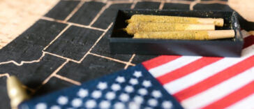 Blazing New Trails: Cross-Border Cannabis Partnerships