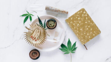 Out-of-the-Box Cannabis Consumption: Unprecedented Experiences