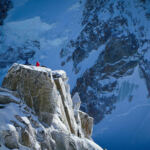 Maximize Your Harvest: Top High-Yield Strains for Home Cultivators