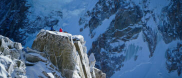 Maximize Your Harvest: Top High-Yield Strains for Home Cultivators