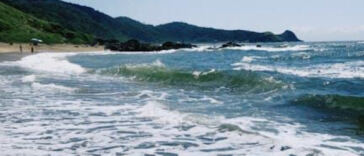 Highly Recommended: Tips for Planning a Cannabis-Friendly Getaway