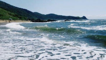 Highly Recommended: Tips for Planning a Cannabis-Friendly Getaway