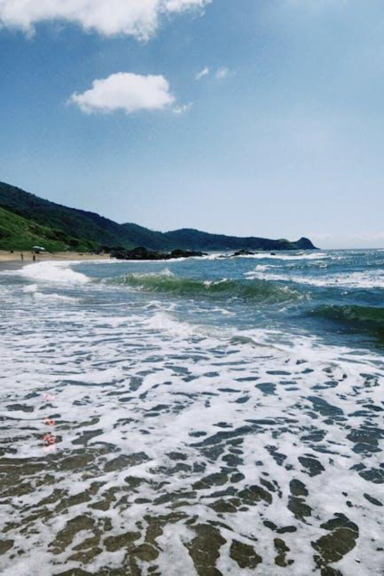 Highly Recommended: Tips for Planning a Cannabis-Friendly Getaway