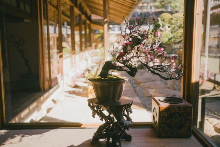 Blissful Bud: Strains to Elevate Your Mood