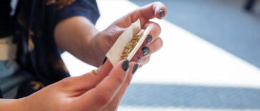 Creating a cost-effective DIY cannabis grow tent