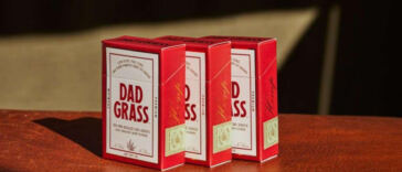 The Green Gold: Tax Earnings from Legal Cannabis Markets