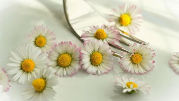 High Performance Healing: Cannabis Edibles for Athletes