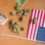 Sprouting up: Fresh faces in the cannabis market