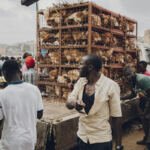 High Hopes, High Stakes: Navigating Weed Market Branding Challenges