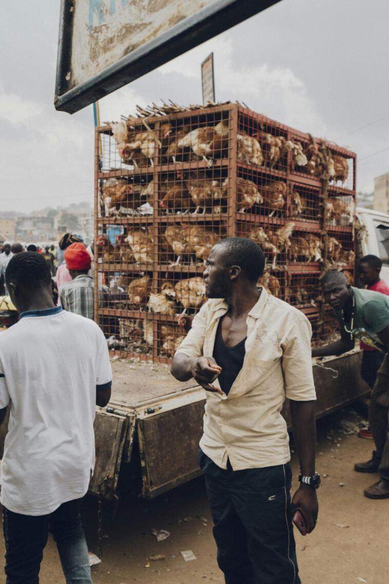 High Hopes, High Stakes: Navigating Weed Market Branding Challenges