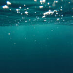 Unlocking the Secrets of Water-Soluble Cannabis