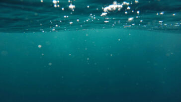 Unlocking the Secrets of Water-Soluble Cannabis