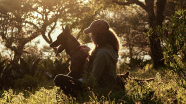 Harmonious Gardening: Using Companion Plants to Protect Your Cannabis