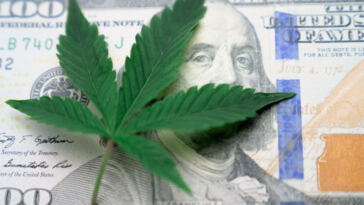 Green Growth: Cannabis Investment Opportunities