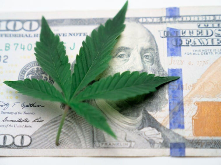 Green Growth: Cannabis Investment Opportunities