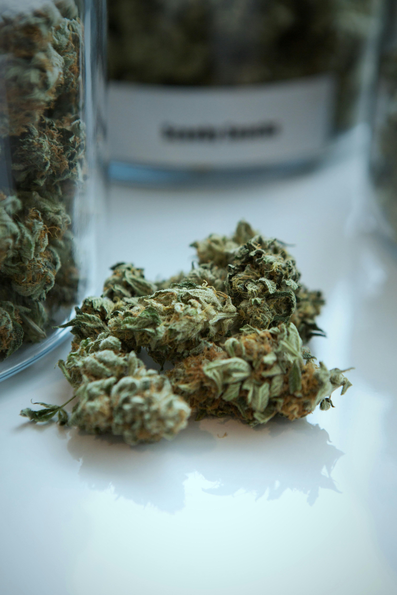 Exploring the Complex Flavors of Spicy and Earthy Cannabis Strains