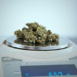 Puff, Pass, Collect: The Intersection of Weed-themed NFTs and Blockchain