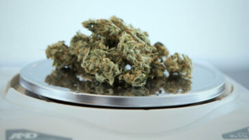 Puff, Pass, Collect: The Intersection of Weed-themed NFTs and Blockchain