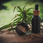 Unveiling the Truth: CBD and Mental Health Studies