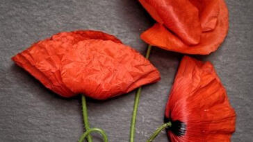 Green Healing: Cannabis Infused Self-Care