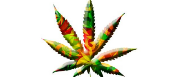 Cannabis Calm: A Beginner’s Guide to Stress Relief