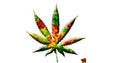 Cannabis Calm: A Beginner’s Guide to Stress Relief