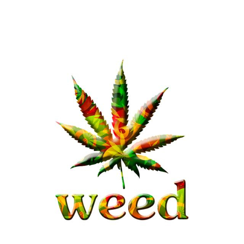 Cannabis Calm: A Beginner’s Guide to Stress Relief