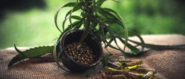 Sleep Aids Showdown: CBD vs Melatonin