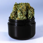 Healing Hope: Cannabis Benefits for PTSD