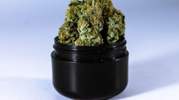 Healing Hope: Cannabis Benefits for PTSD