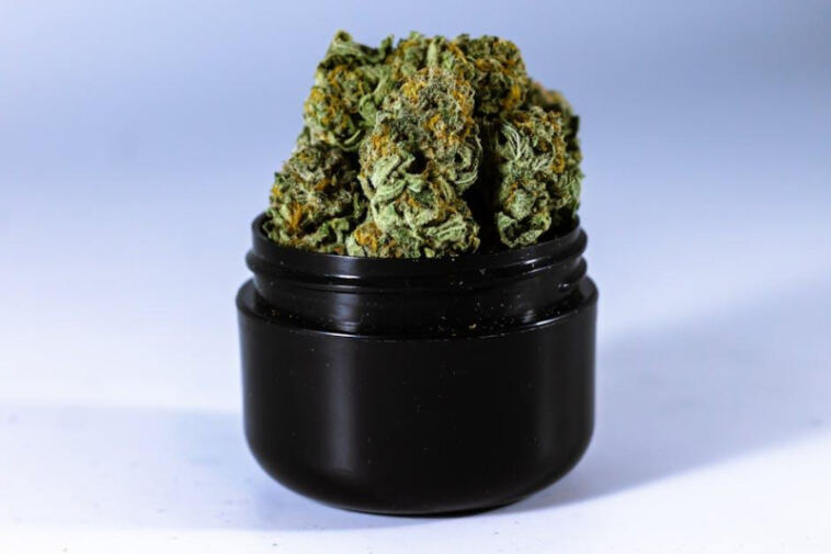 Healing Hope: Cannabis Benefits for PTSD