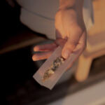 Bridging Gaps: Social Equity Initiatives in Cannabis