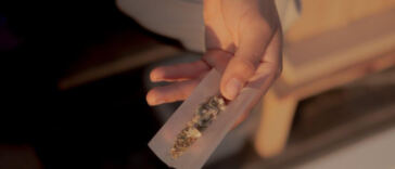 Bridging Gaps: Social Equity Initiatives in Cannabis