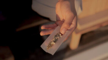 Bridging Gaps: Social Equity Initiatives in Cannabis