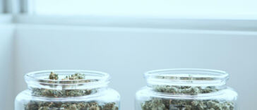 Culinary Cannabis Creations: Top Recipes for Chefs