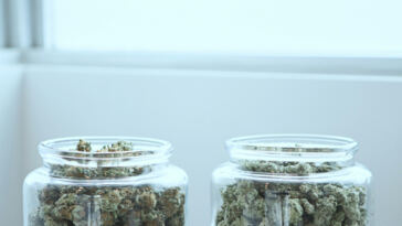 Culinary Cannabis Creations: Top Recipes for Chefs