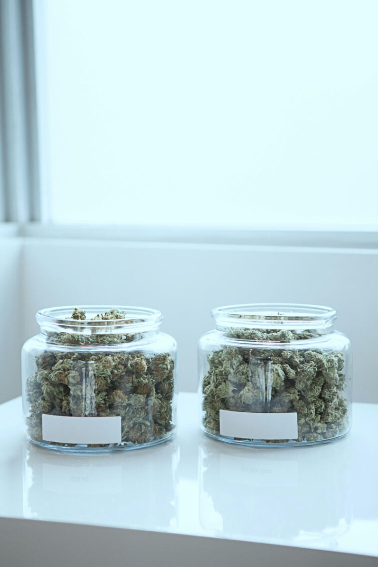 Culinary Cannabis Creations: Top Recipes for Chefs