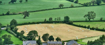 High Yields: Innovating Vertical Cannabis Farming