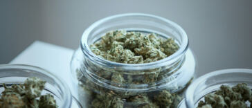 The Art of Cannabis Storage: Best Practices for Preserving Potency