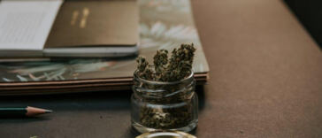 Global Cannabis Legalization: A Changing Landscape