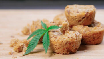 CBD Edibles vs. Vaping: The Good and Bad