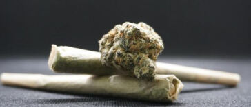 The Subtle High: Advantages of Daily Marijuana Microdosing