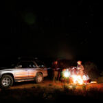 Grow Green: A Guide to Setting Up Your Indoor Grow Tent