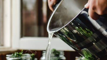 Savor the Flavor: Mastering Post-Harvest Preservation